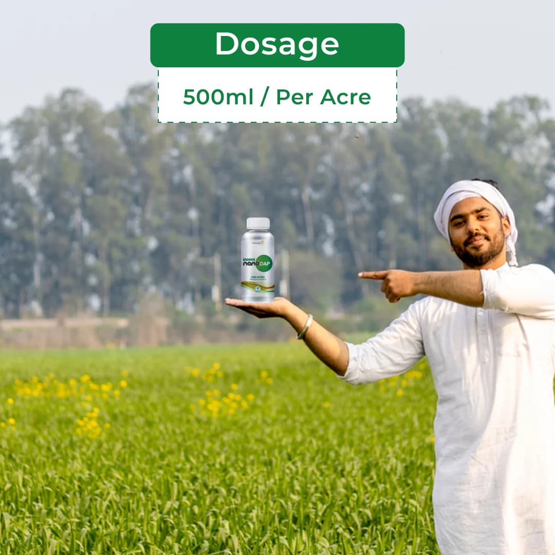 Coromandel GROMOR Nano DAP Fertilizer, These Nutrients Into Nano Polymers Capsules Or Nano Clay Material - Image 5