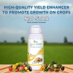 Nio Star - Superior Plant Growth Promoter and High-Performance Yield Enhancer (Fulvic Acid + NATCA + Organic Enzyme + Emulsifier) 2