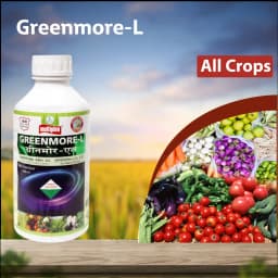 Multiplex Greenmore-L Triacontanol 0.05% EC Plant Growth Promoter For Better Yield And Plant Growth 2