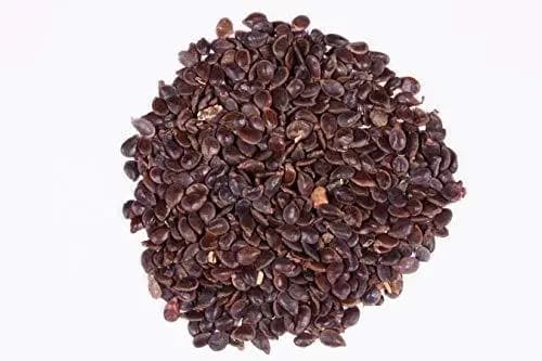 RK Seeds - Acrocarpus fraxinifolius, Pink Cedar Tree Seeds. one of the largest and fast growing timber trees in India.