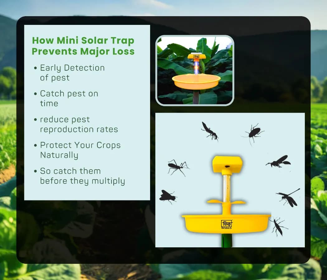 Chipku Mini Solar Insect Trap For Agriculture With UV Light, Solar Light Trap For Agriculture Insects Pests With 6 Months Warranty - Image 10