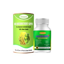 Katyayani Banana Growth Booster Combo, Promote Growth And Flowering (Mix Micronutrient 100 Gm, Accel Gro Plus 6 Gm) 5