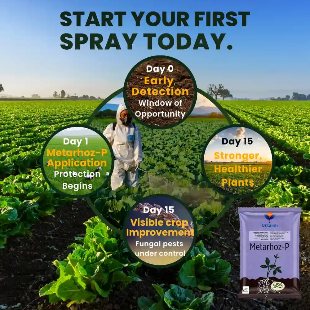 Utkarsh Metarhoz-P (Metarhizium Anisopliae 1% W.P.) Bio Pesticide, Controls Effective Pests and Improves Soil & Crop Health - Image 4