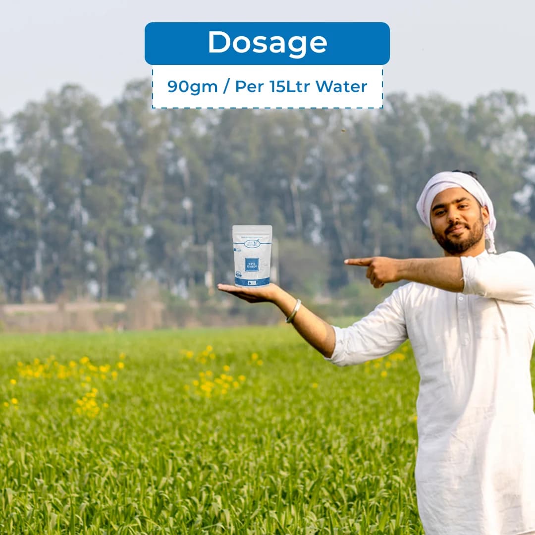 Agriventure NPK 12:61:00 Imported 100% Water Soluble Drip Fertilizer, Use for Vegetables and Fruits - Image 5