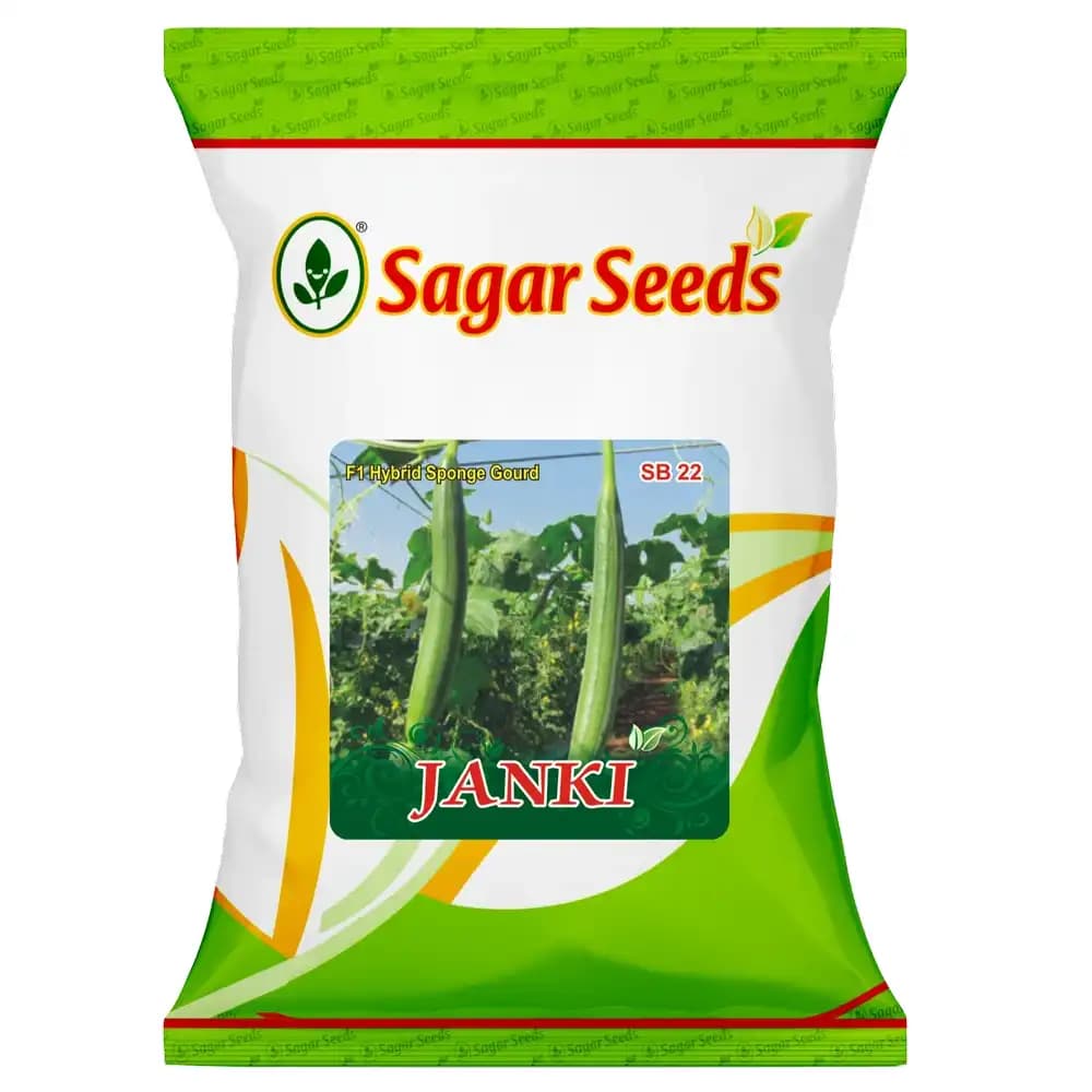 Sagar Seeds Janki F1 Hybrid Sponge Gourd Seeds, Ideal For Kharif and Summer Season