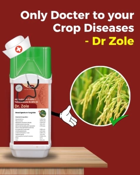 Katyayani Dr. Zole Azoxystrobin 11 % + Tebuconazole 18.3 % SC Systemic Fungicide Powerful Broad Spectrum - Image 2