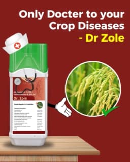 Katyayani Dr. Zole Azoxystrobin 11 % + Tebuconazole 18.3 % SC Systemic Fungicide Powerful Broad Spectrum 2
