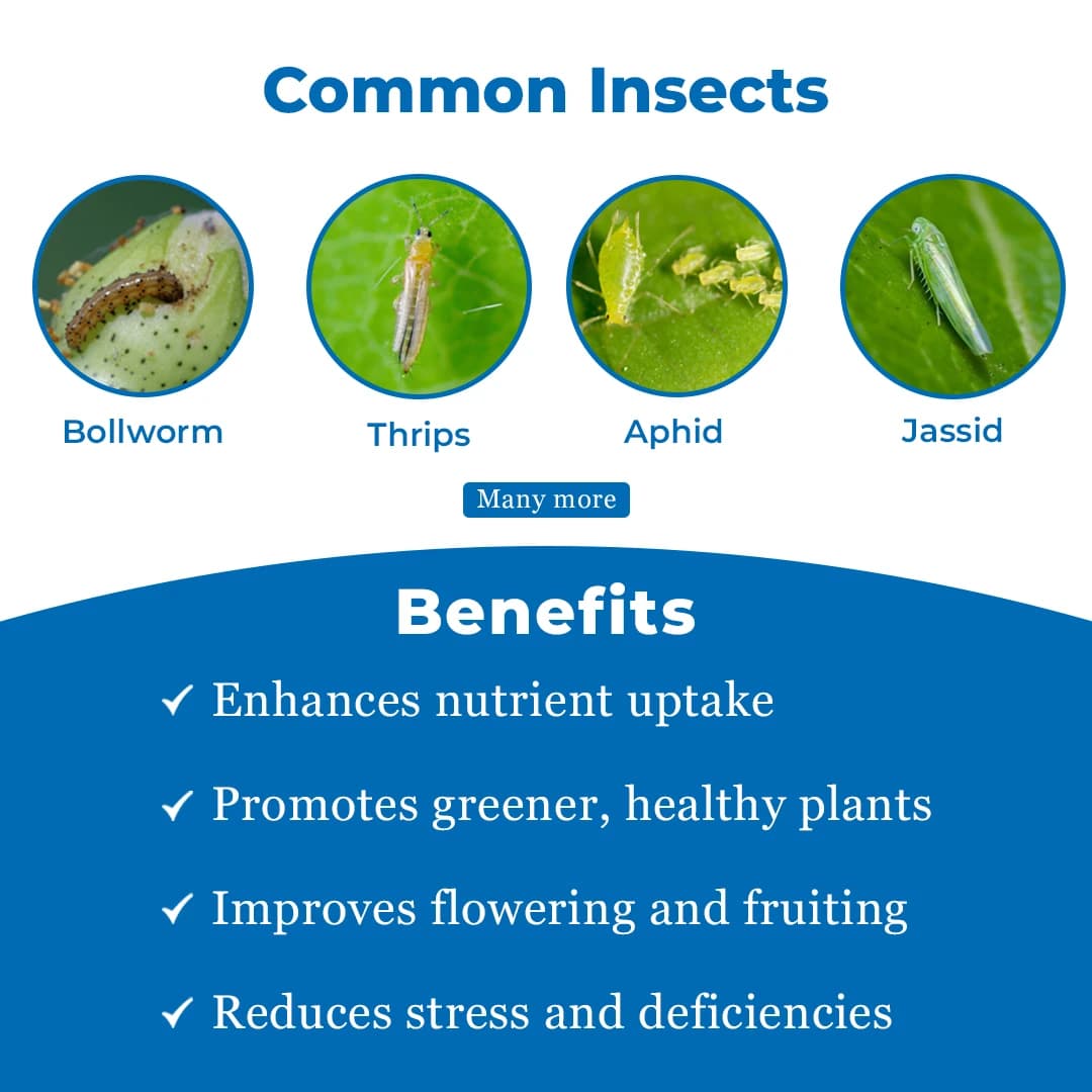 Katyayani Emathio Insecticide - Image 3