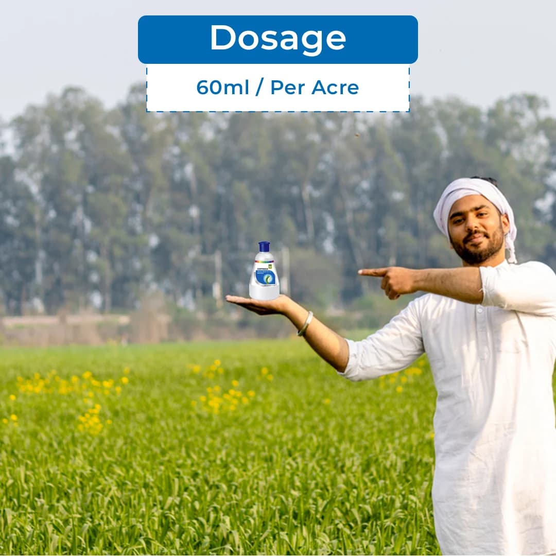 एचओके कॉफीज़ा कीटनाशक - Image 5