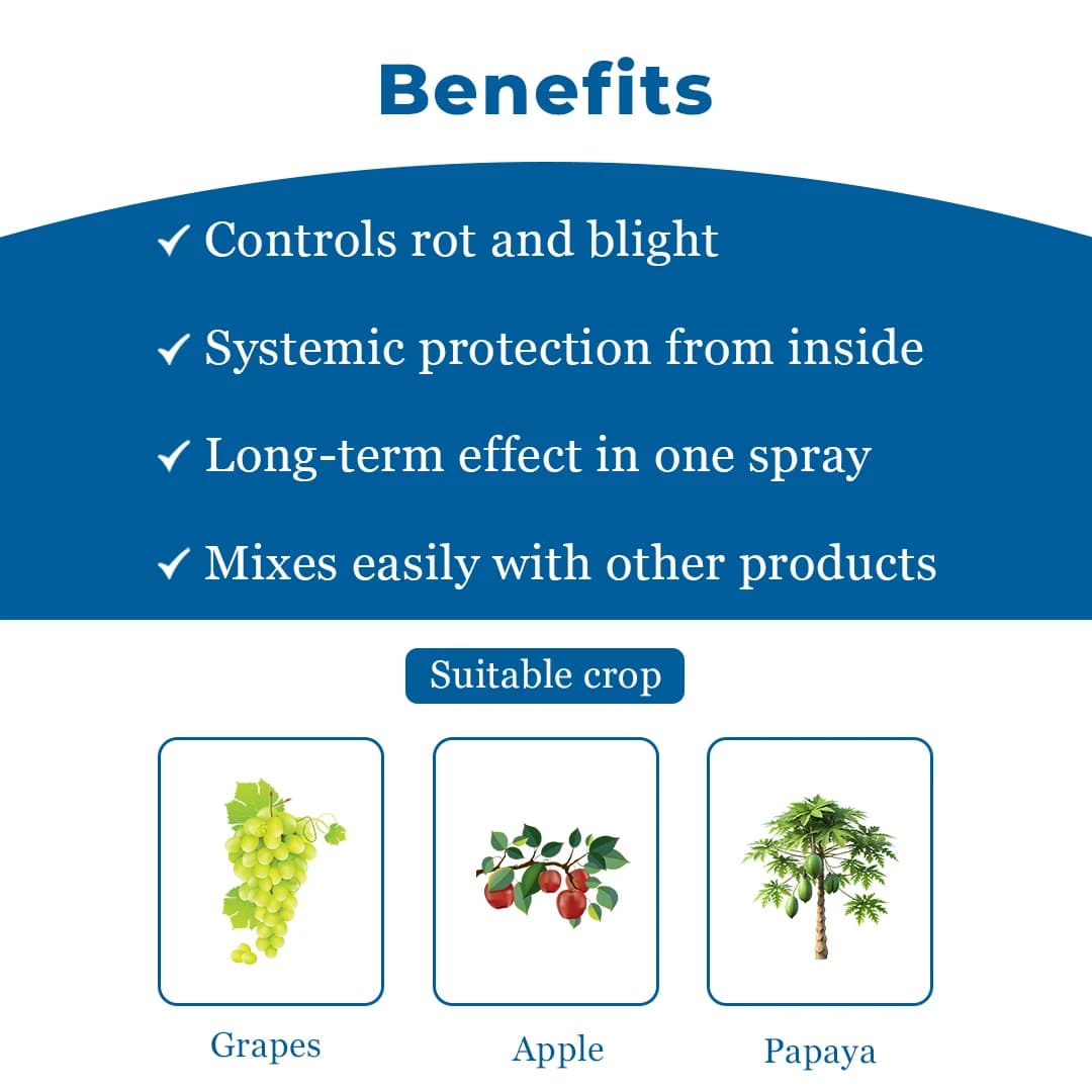 IIL Prism Thiophanate Methyl 70% WP Fungicide, Broad-Spectrum Systemic Fungicide with Protective and Curative Action - Image 4