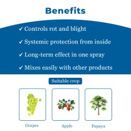 IIL Prism Thiophanate Methyl 70% WP Fungicide, Broad-Spectrum Systemic Fungicide with Protective and Curative Action 4