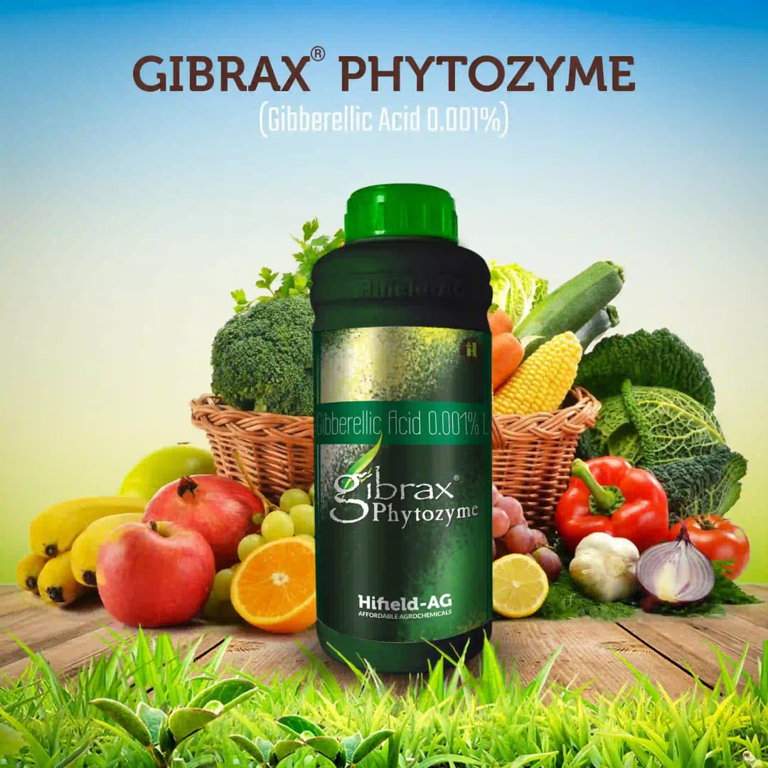 गिब्रैक्स फाइटोज़ाइम (गिब्बेरिलिक एसिड 0.001% एल) - बूंद से सिंचाई और पत्तियों पर छिड़काव के लिए उपयुक्त - Image 6