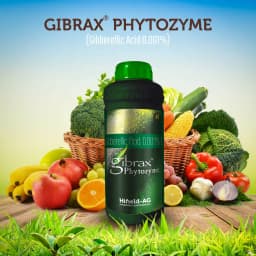 गिब्रैक्स फाइटोज़ाइम (गिब्बेरिलिक एसिड 0.001% एल) - बूंद से सिंचाई और पत्तियों पर छिड़काव के लिए उपयुक्त 6