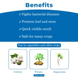 Aries Agro Plantomycin Bactericide, Used To Control Bacterial Disease In Crops And Treat Various Infections 4