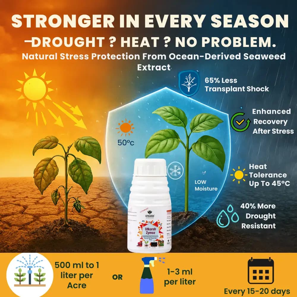 Utkarsh Zymoz-L Seaweed Concentrate Extract Biostimulant, Fertilizer For Plants Home Garden And Trees - Image 4