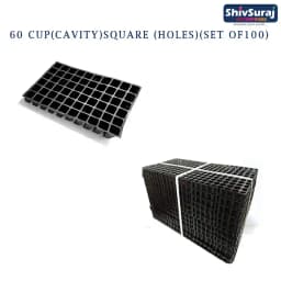 Shivsuraj 60 Cavity Seedling Tray Square Shape Hole Germination Tray, Nursery Tray For Sowing Seeds 4