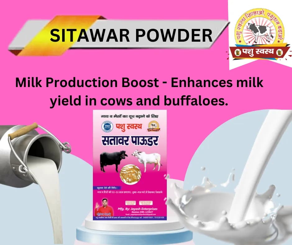 PASHU SVASTH SITAWAR POWDER, Animal Health Suppliments, Pure Herbal Blend For Healthy Milk Yield In Animals - Image 5