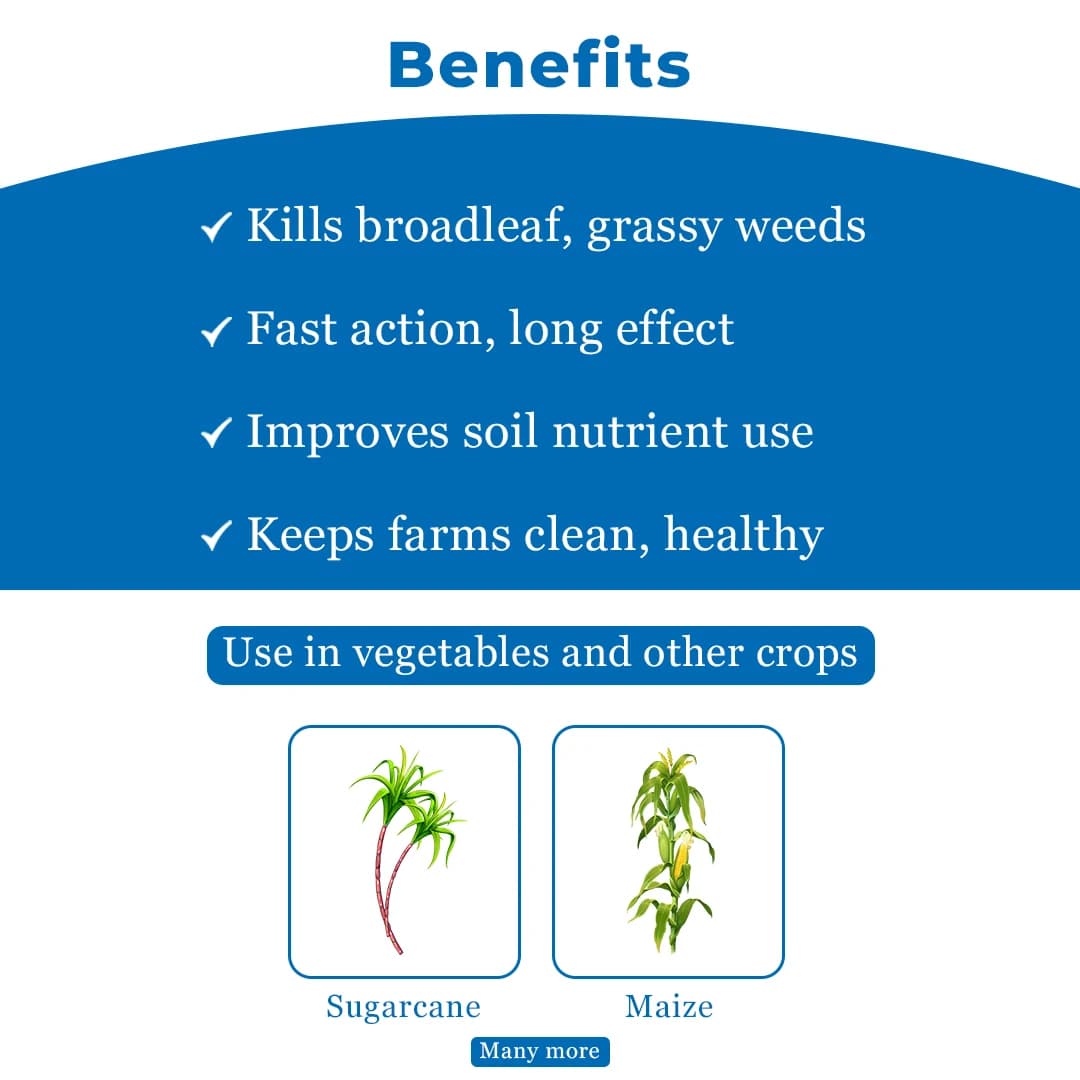 Dhanuka Weedmar Super Herbicide - 2,4-d Amine Salt 58% Sl - Image 4