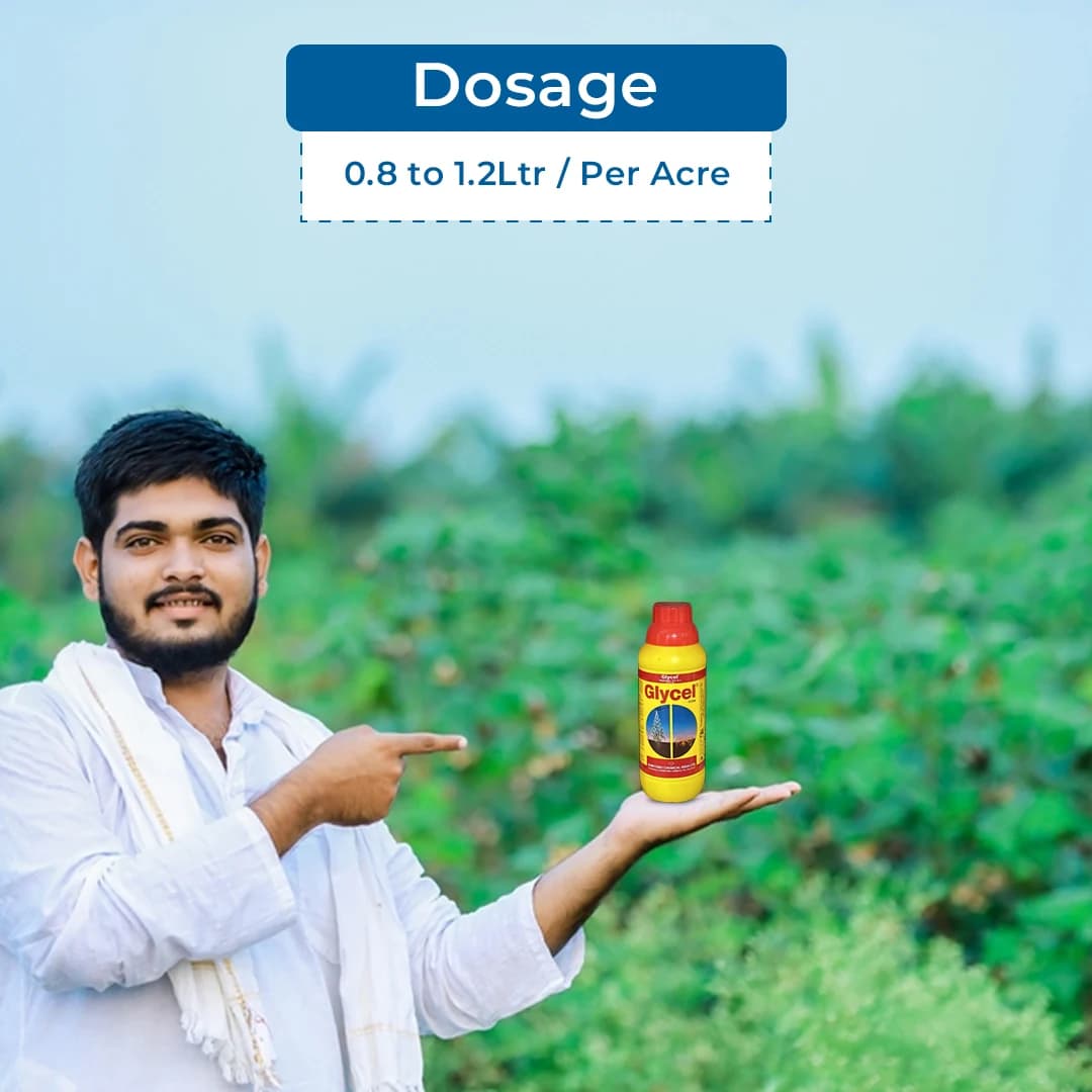 Sumitomo Glycel Herbicide - Image 5