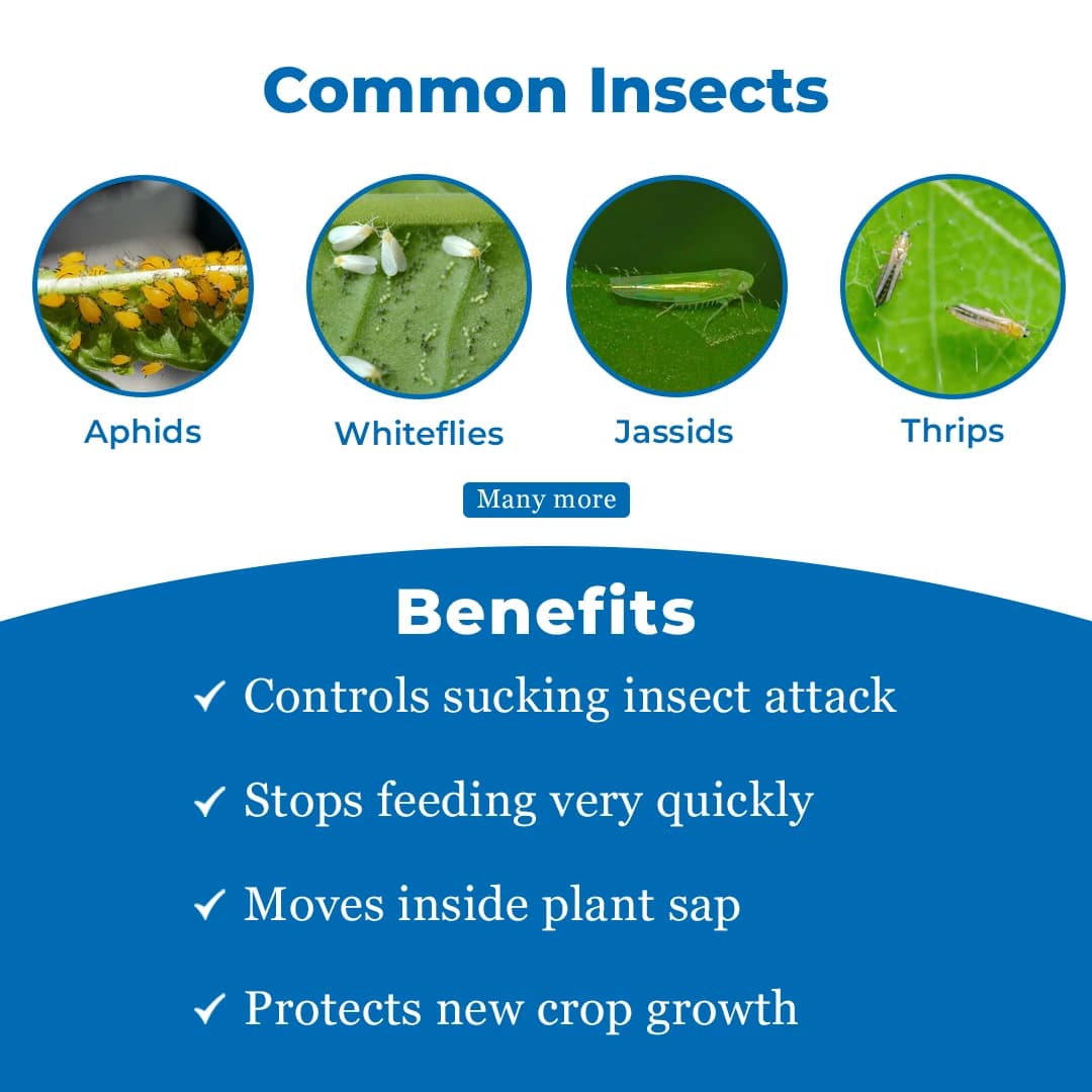 Exylon Azura Insecticide - Abamectin 1.9% EC - Image 3