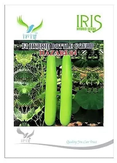 Iris Hazari-04 Bottle Gourd Seeds - Lauki Seeds