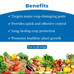 PI Brofreya Broflanilide 20% SC Mainly used for management of Lepidopteran & sucking pests 4