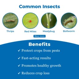 Control TRM - Thrips, Red Mites, Mealy Bug (Sucking Pest Controller), Residue Free 3