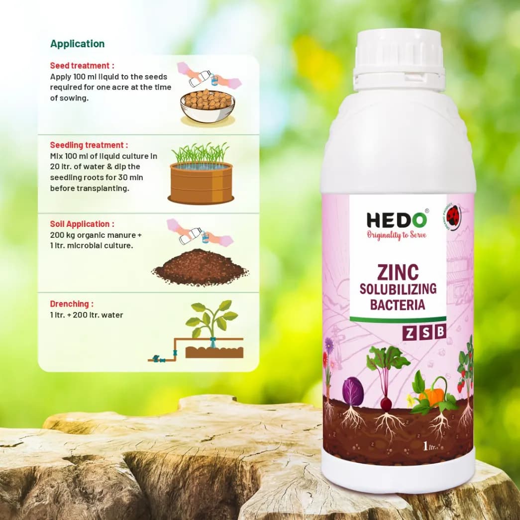 HEDO Zinc Solubilizing Bacteria (ZSB) Liquid Bio Fertilizer, For All Plants, Agricultural & Garden, Helps to Improves Soil Fertility - Image 4