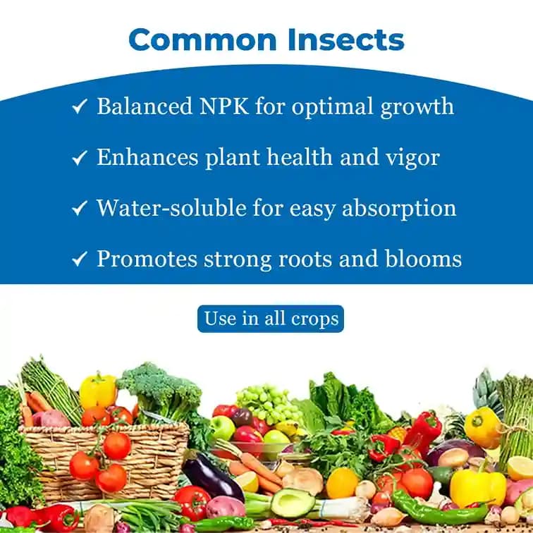 NPK 19:19:19 Fertilizer - 100% Water Soluble - Image 4