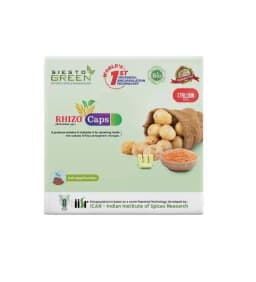 Siesto Rahizo. Capsules containing nodulating types of symbiotic nitrogen-fixing bacteria known as Rhizobium spp. 1