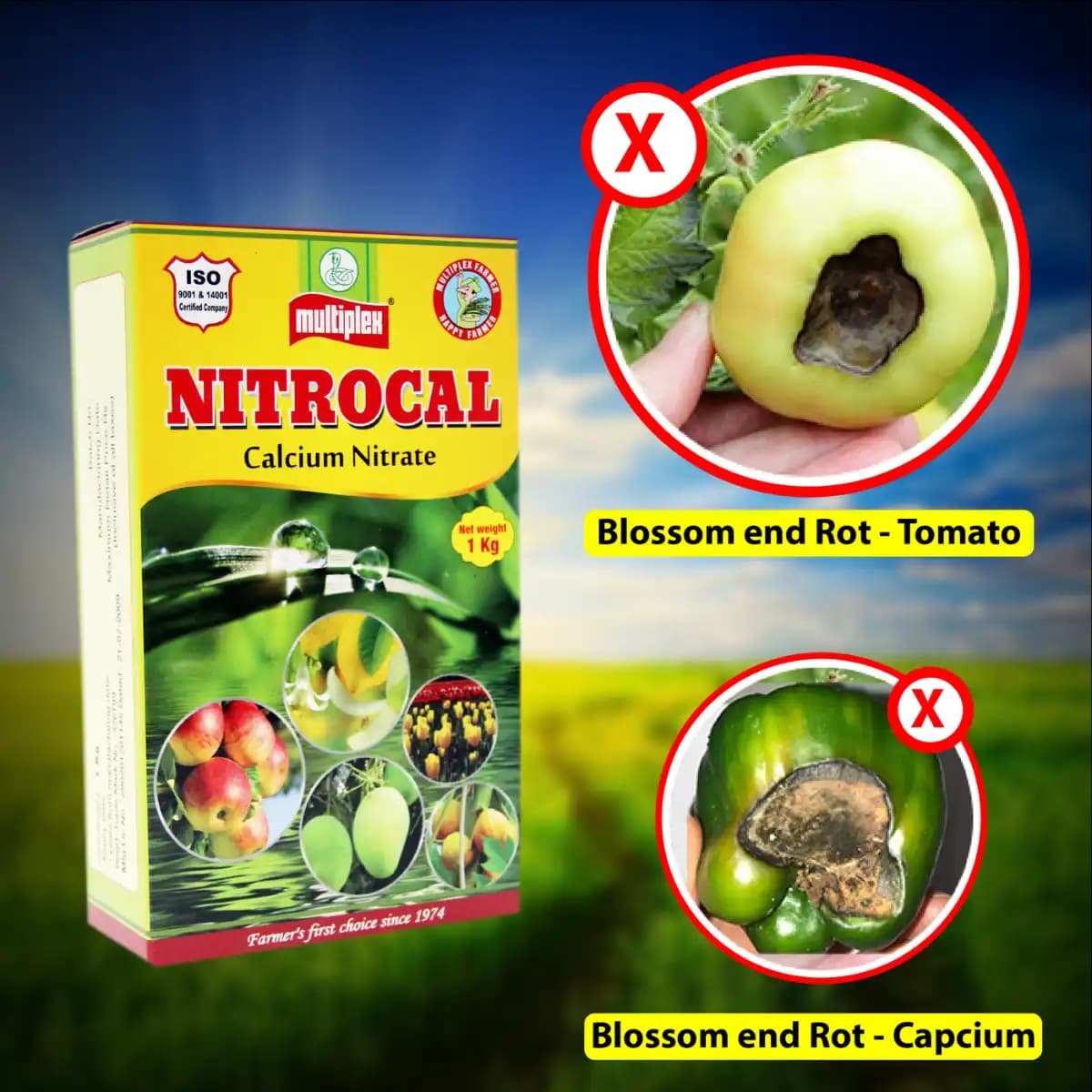 Multiplex Nitrocal Calcium Nitrate Fertilizer, 100% Water Soluble, Better Fruit Quality And Crop Health - Image 3