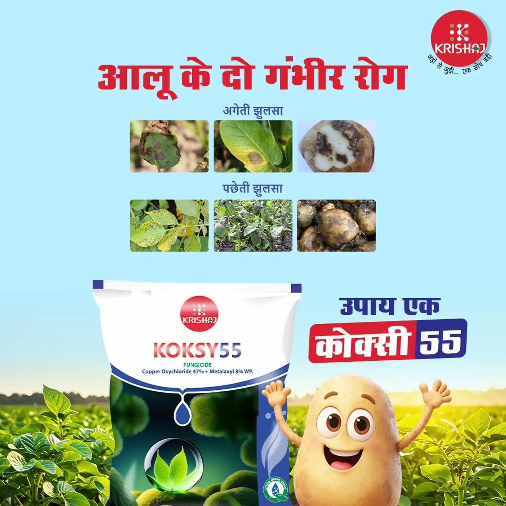 Krishi Rasayan KOKSY55 Copper Oxychloride 47% + Metalaxyl 8% WP Fungicides, Effective Fungal Diseases Control In Crops - Image 3