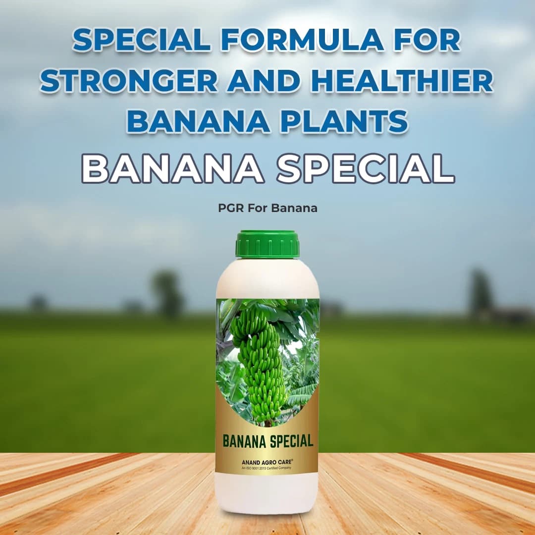 Anand Agro Care Banana Special (PGR For Banana), Increase The Natural Size, Attractive Color And Length Of Finger. - Image 2