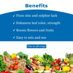 SML Techno-Z Sulphur 67% + Zinc 14% Microgranule Fertilizer for All Crops 3