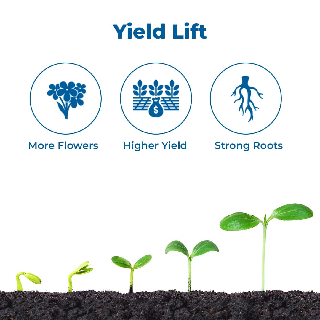 FMC Miracle Triacontanol 0.1% EW Crop Nutrition, Enhances the Vegetative Growth of the Plants - Image 3