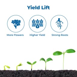 FMC Miracle Triacontanol 0.1% EW Crop Nutrition, Enhances the Vegetative Growth of the Plants 3
