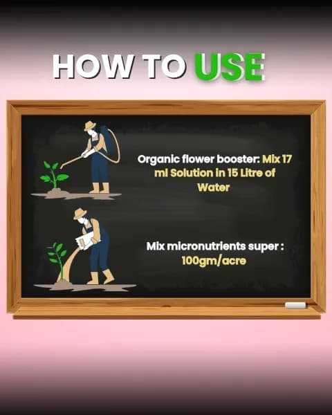 Katyayani Flowering Fertilizer Booster for All Flowering Plants Roses, Orchids, Hibiscus, Jasmine, etc with Mix Micro Nutrient Super for Home Garden - Image 3
