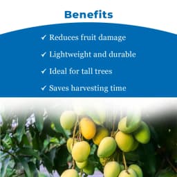 हेक्टेयर हल्के वजन का मैंगो फ्रूट पिकर, 4 बदली जा सकने वाली तेज ब्लेड और कॉटन नेट के साथ फ्रूट हार्वेस्टर, फ्रूट हार्वेस्टर (बिना पोल के) 4