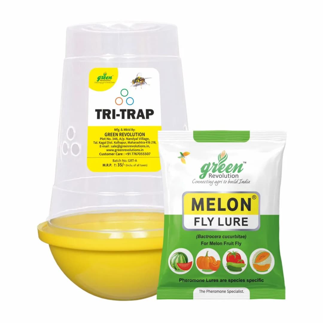 Green Revolution Tri Trap and Melon Fly Lure (Bactrocera Cucurbitae), Easy To Use & Provide Long Lasting Protection