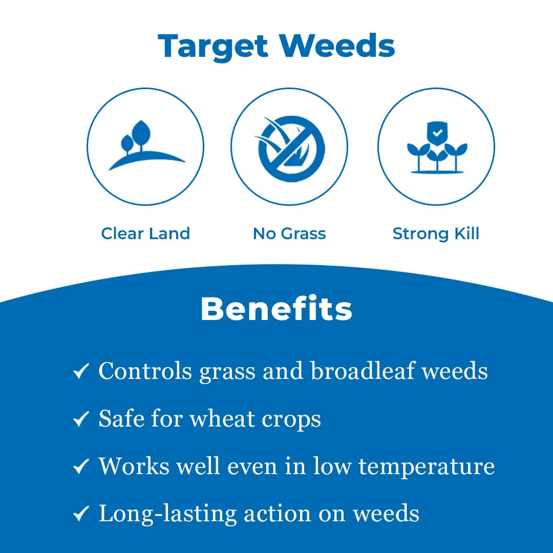 Bayer Atlantis Mesosulfuron Methyl 3% + Iodosulfuron Methyl Sodium 0.6 WDG Herbicide - Image 3