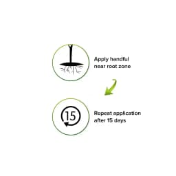 Green Era Enriched Vermi Lite, Organic Ready to Use Vermi Compost Fertilizer, Soil Manure For Plants 2