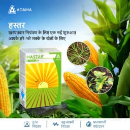 एडामा हस्टर - टेम्बोट्रिओन 34.4% एससी खरपतवारनाशी, चयनात्मक पोस्ट-एमर्जेंस खरपतवारनाशी, मक्का के लिए उपयोगी 3