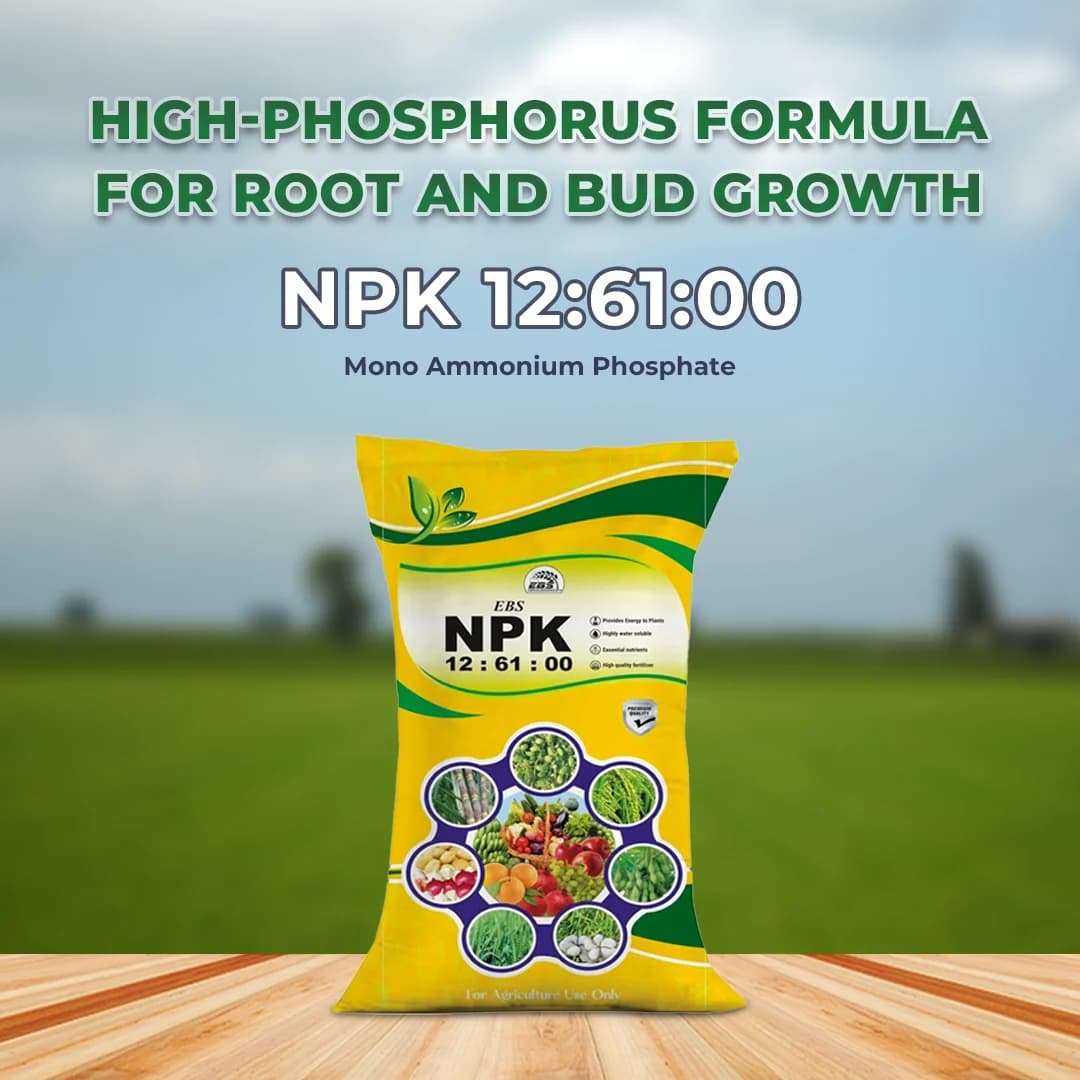 EBS NPK 12:61:00 (Mono Ammonium Phosphate) Water Soluble Fertilizer, Promotes Root And Faster Vegetative Growth - Image 2