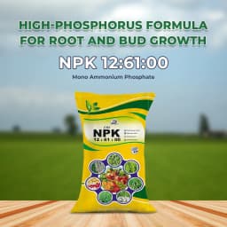EBS NPK 12:61:00 (Mono Ammonium Phosphate) Water Soluble Fertilizer, Promotes Root And Faster Vegetative Growth 2