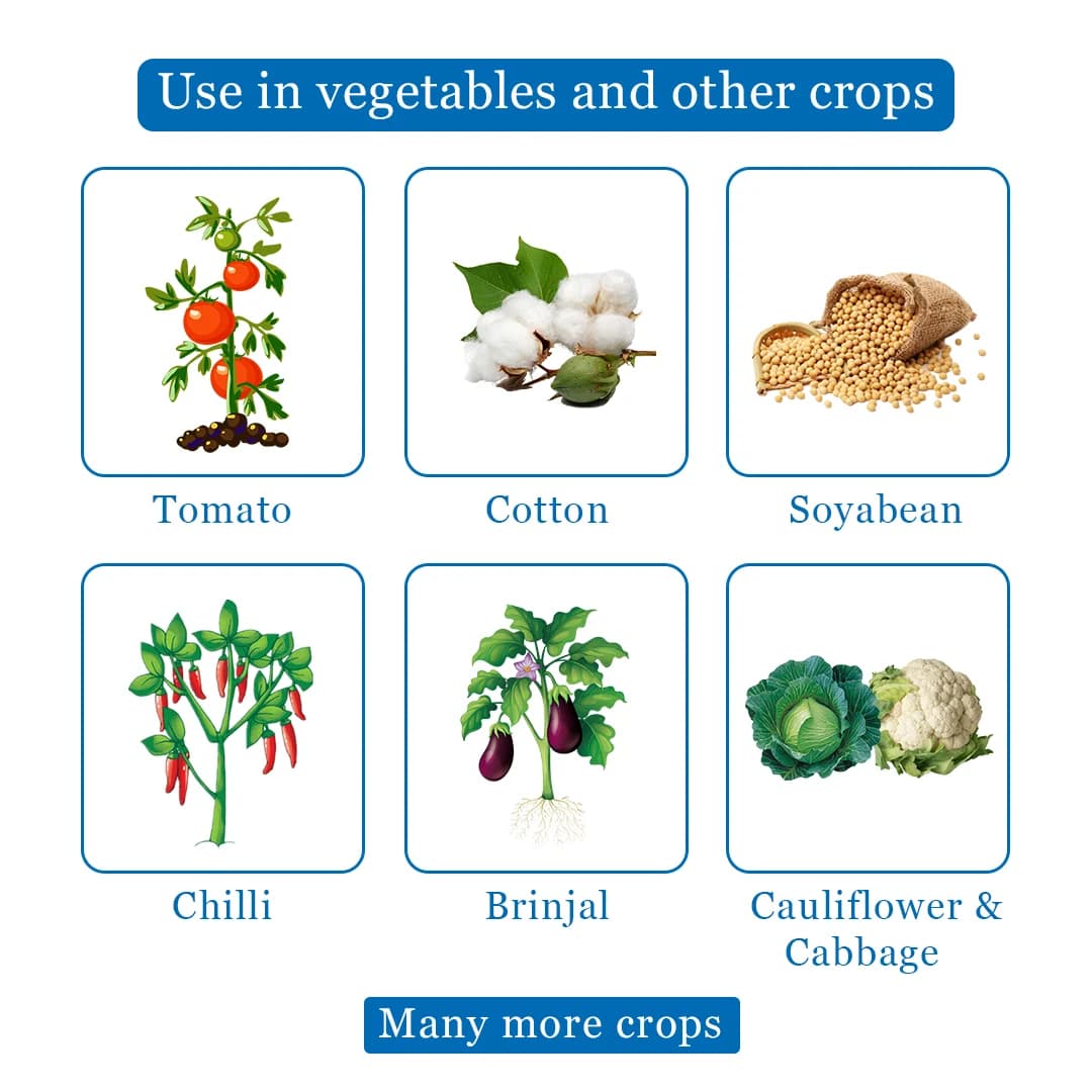 रेमिडोक - फिप्रोनिल 18.87% एससी. कीटनाशक, यह फसलों में हानिकारक कीड़ों को रोकता है। - Image 4