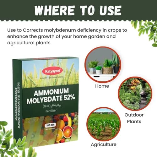 Katyayani Ammonium Molybdate 52% Organic Fertilizer, Corrects Molybdenum Deficiency in Crops, Promotes Overall Plant Growth and Yield - Image 3