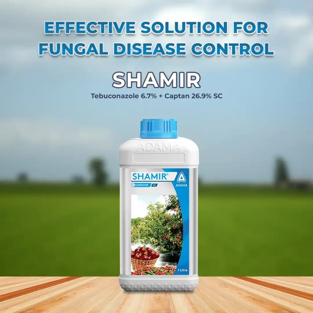 Adama Shamir Tebuconazole 6.7% + Captan 26.9% SC, Contact Fungicide, Excellent Protection Against Apple Scab - Image 2