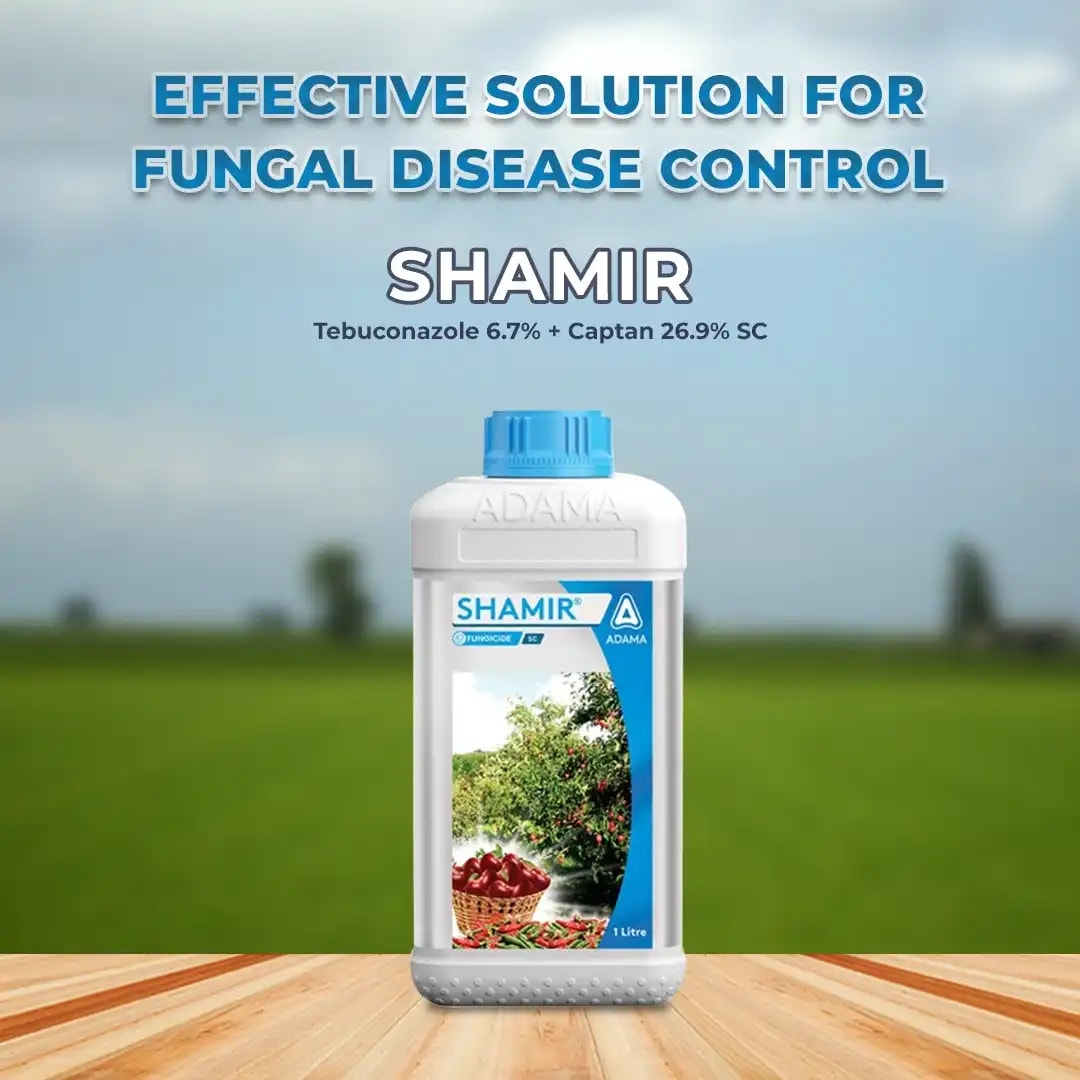 Adama Shamir Fungicide