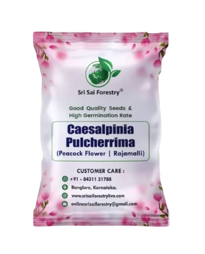 SRI SAI FORESTRY Caesalpinia pulcherrima, Peacock Flower, Rajamalli, Red Bird of Paradise Flowering Plant Seeds For Home Garden,Fencing & Terrace
