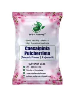 SRI SAI FORESTRY Caesalpinia pulcherrima, Peacock Flower, Rajamalli, Red Bird of Paradise Flowering Plant Seeds For Home Garden,Fencing & Terrace 1